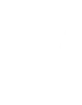 VISAGE Studio